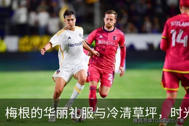 梅根的华丽礼服与冷清草坪，时光却不能忽视